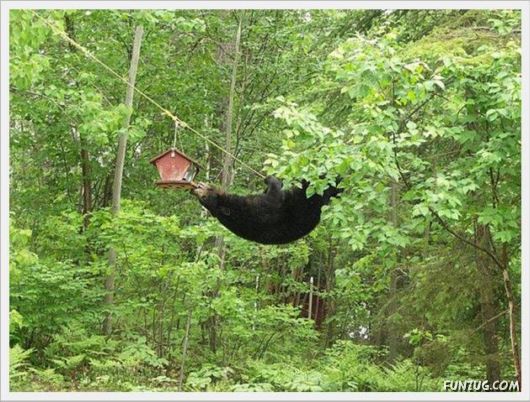 Funny Daily Pic Mania