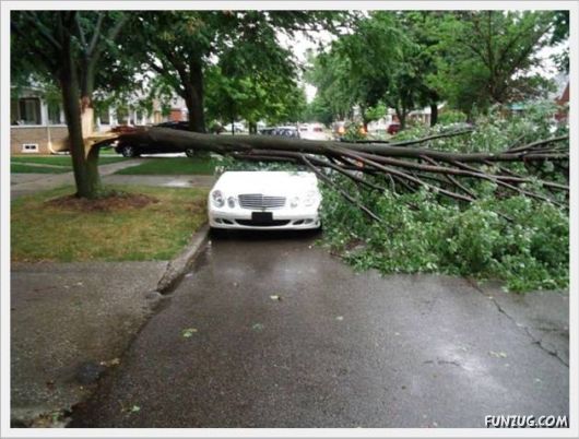 Funny Daily Pic Mania