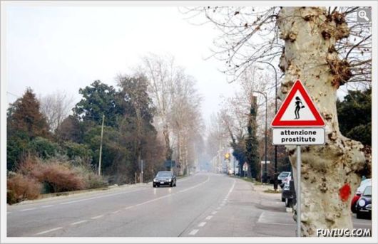 Funny Daily Pic Mania