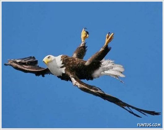 You Are Doing it WRONG!