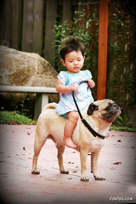 FunNY Daily Pix For You