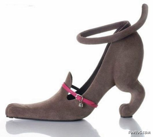 FunNY Daily Pix For You