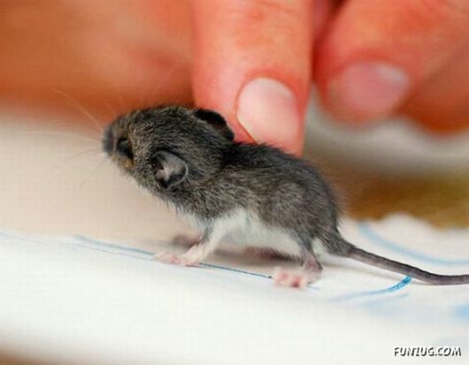 FunNY Daily Pix For You