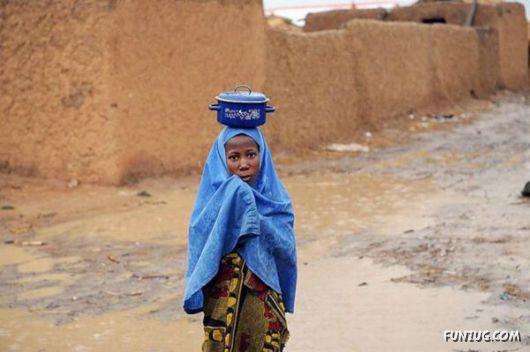 FunNY Daily Pix For You