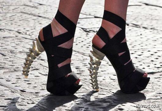 FunNY Daily Pix For You