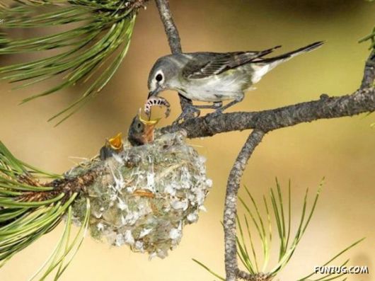 FunNY Daily Pix For You