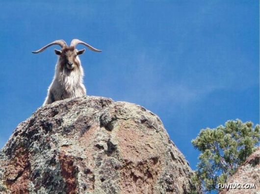 FunNY Daily Pix For You