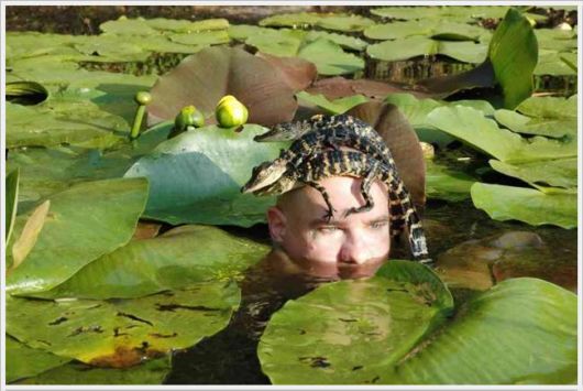 Funny Cool Pictures Of The Day