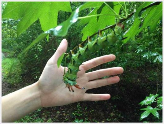 Funny Cool Pictures Of The Day