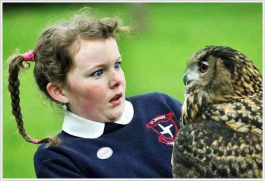 Funny Cool Pictures Of The Day