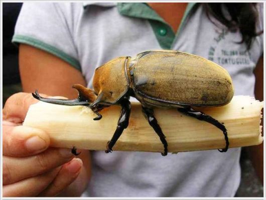 Funny Cool Pictures Of The Day