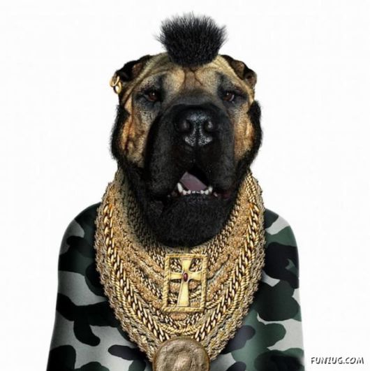 Funny Modernized Animals