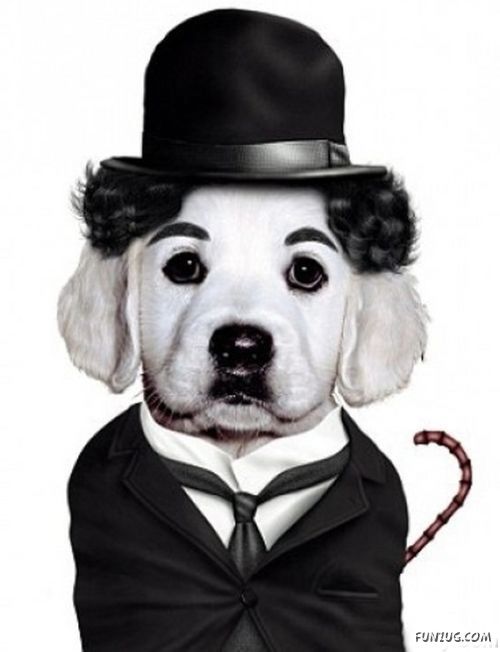 Funny Modernized Animals