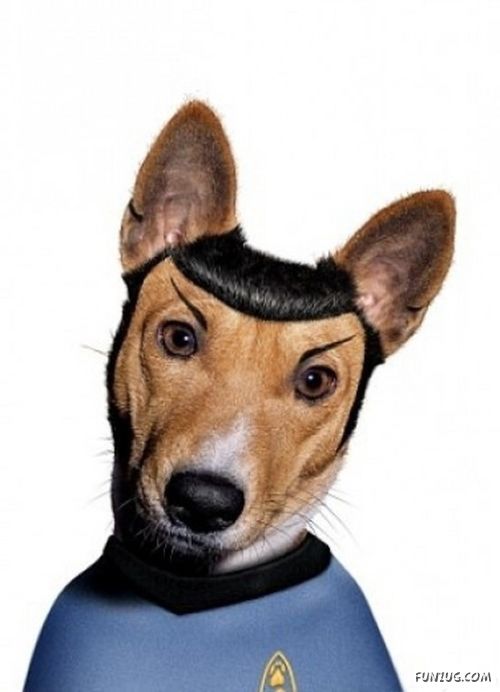 Funny Modernized Animals