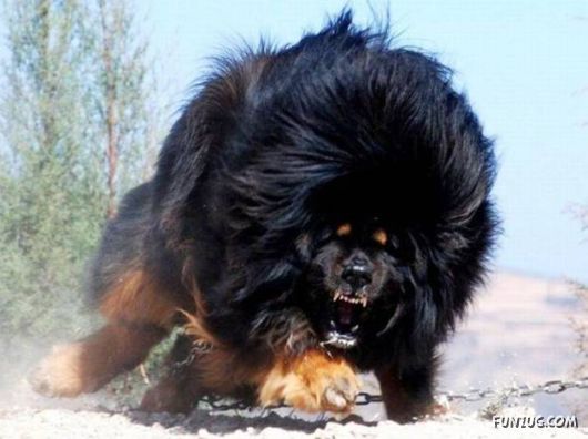 More Cool Funny Pictures