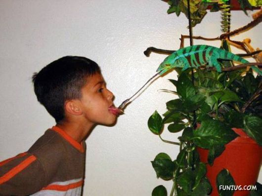 More Cool Funny Pictures