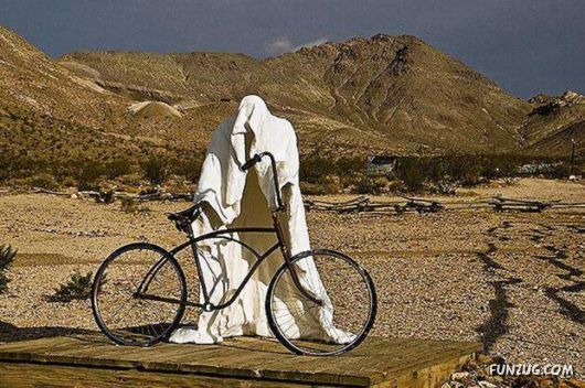 More Cool Funny Pictures