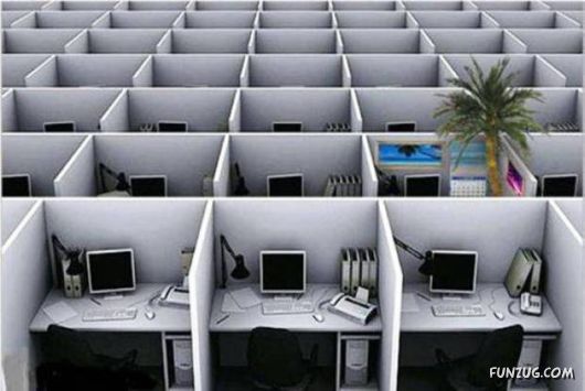 More Cool Funny Pictures