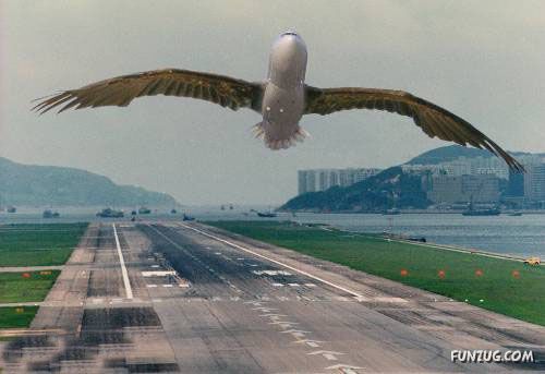 Superb Solution For Petrol Price Hike