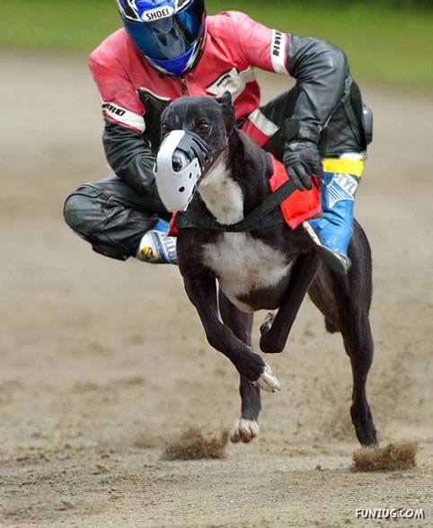 Superb Solution For Petrol Price Hike