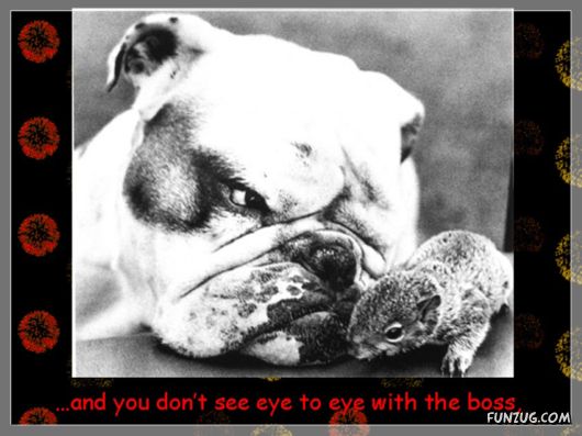 Wishing You Happy 2010 in Advance