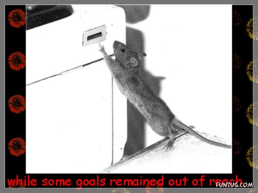 Wishing You Happy 2010 in Advance