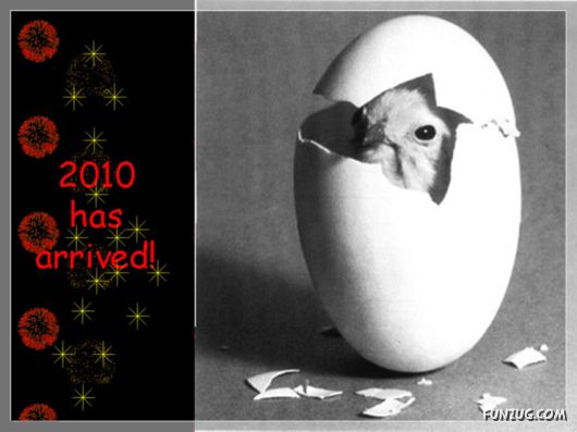 Wishing You Happy 2010 in Advance