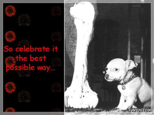 Wishing You Happy 2010 in Advance