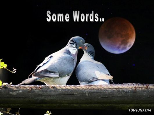 Very Nice Inspirational Words