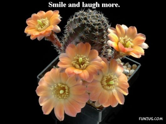 Excellent Tips For a Better Life