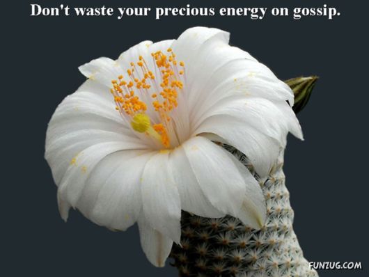 Excellent Tips For a Better Life