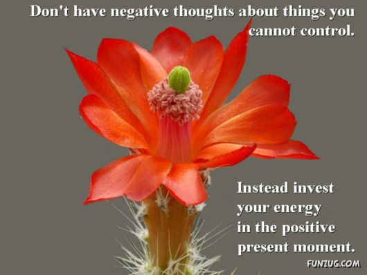 Excellent Tips For a Better Life