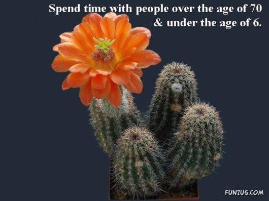 Excellent Tips For a Better Life