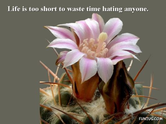 Excellent Tips For a Better Life