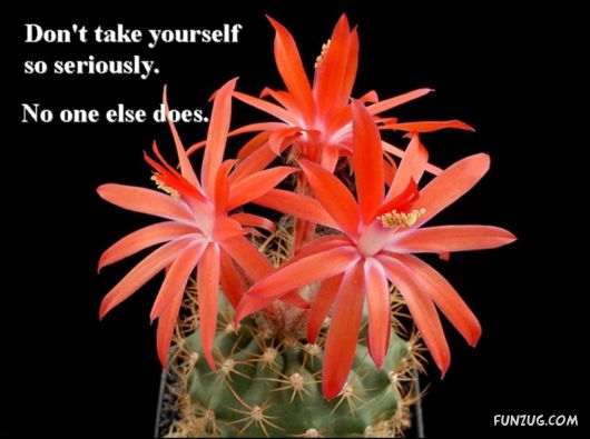 Excellent Tips For a Better Life