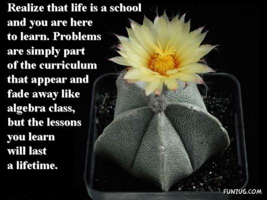 Excellent Tips For a Better Life