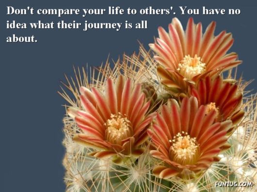 Excellent Tips For a Better Life