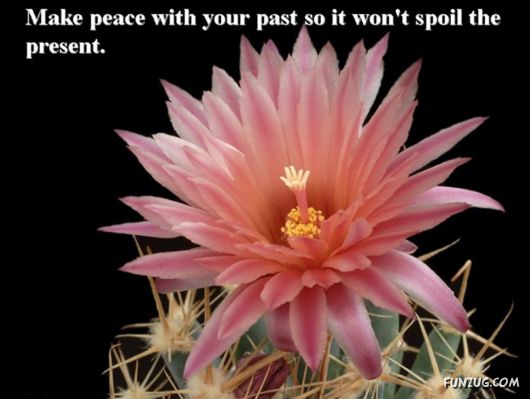 Excellent Tips For a Better Life