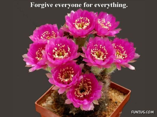 Excellent Tips For a Better Life