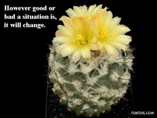 Excellent Tips For a Better Life