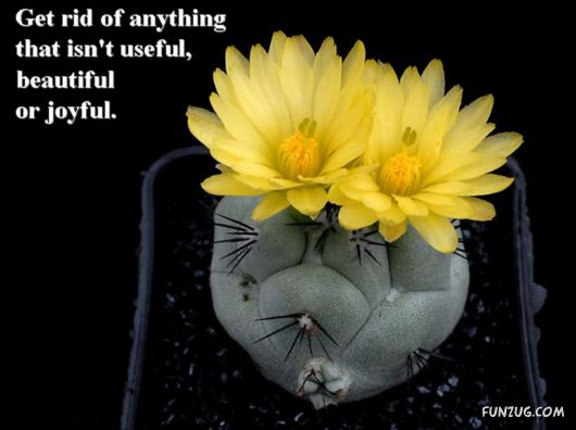 Excellent Tips For a Better Life