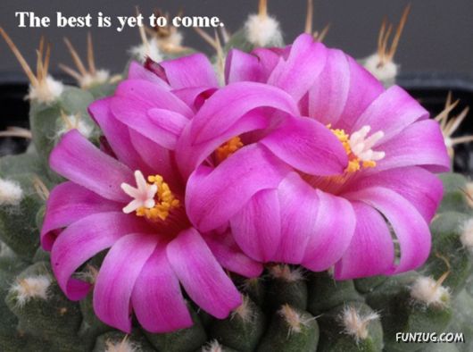 Excellent Tips For a Better Life