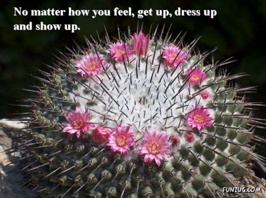 Excellent Tips For a Better Life