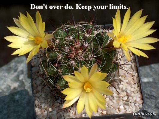 Excellent Tips For a Better Life