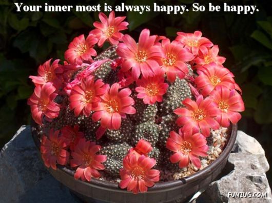 Excellent Tips For a Better Life