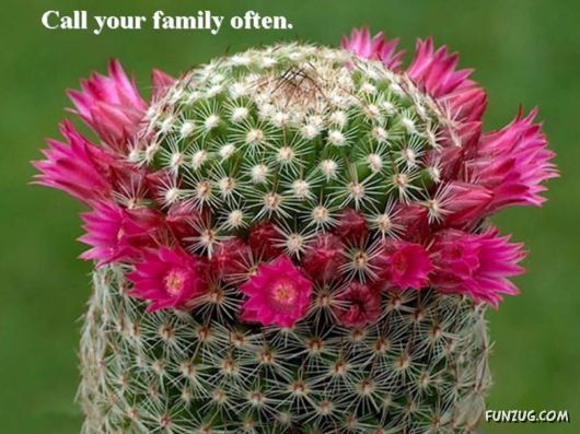 Excellent Tips For a Better Life