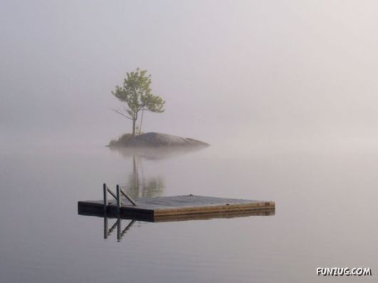 Amazing Pictures of the Day