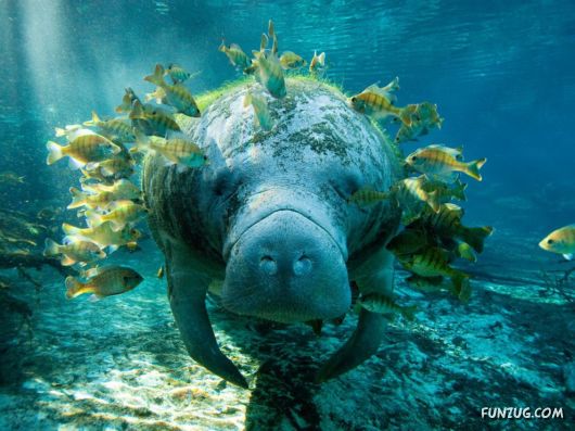 Amazing Pictures of the Day