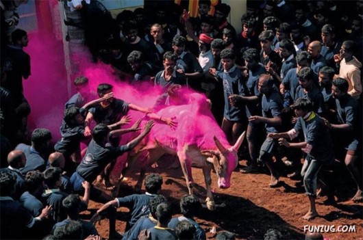 Amazing Pictures of the Day