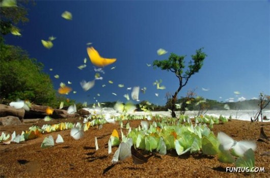 Amazing Pictures of the Day